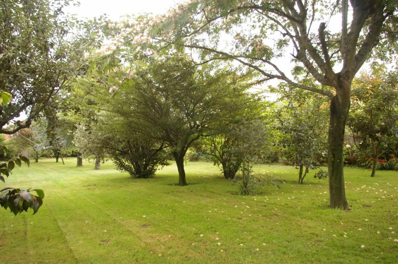 Vila Vivienda Tradicional Con Jardin Y Patio Interior Villanueva De Arosa Exteriér fotografie